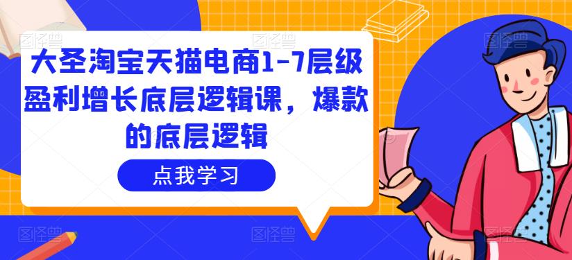 大圣淘宝天猫电商1-7层级盈利增长底层逻辑课，爆款的底层逻辑-资源宝库吧