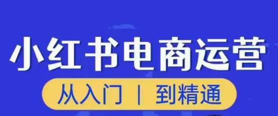 顽石小红书电商高阶运营课程,从入门到精通,玩法流程持续更新-资源宝库吧