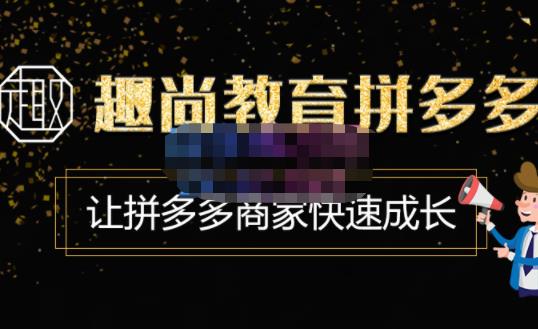 趣尚教育·拼多多运营实操VIP特训营，让拼多多商家快速成长-价值3180元-资源宝库吧