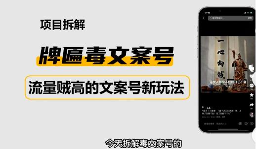 2023抖音快手毒文案新玩法,牌匾文案号,起号快易变现-资源宝库吧