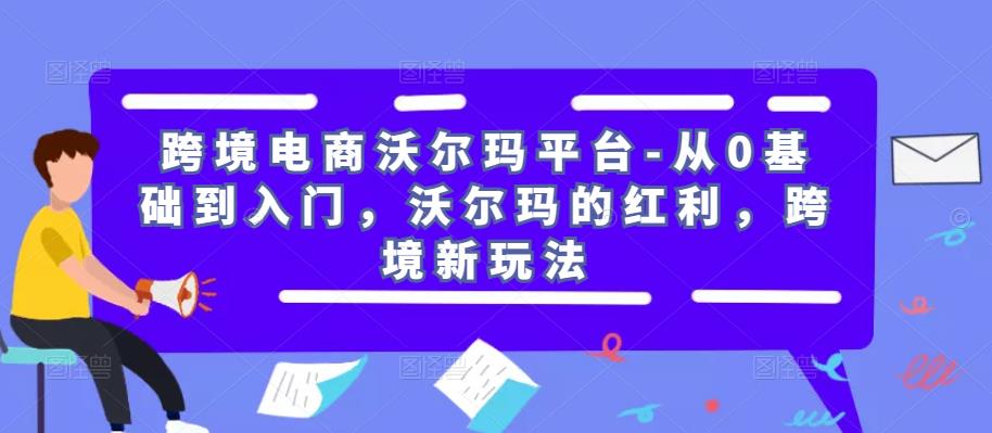 跨境电商沃尔玛平台-从0基础到入门，沃尔玛的红利，跨境新玩法-资源宝库吧