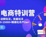 美团电商特训营：美团·店群玩法，无脑铺货月产出6000-15000+精细化月产2w+-资源宝库吧