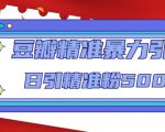 豆瓣精准暴力引流，日引精准粉500+【12课时】-资源宝库吧