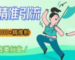 soul精准引流系列课程，一天引流100+精准粉，适合各类行业-资源宝库吧
