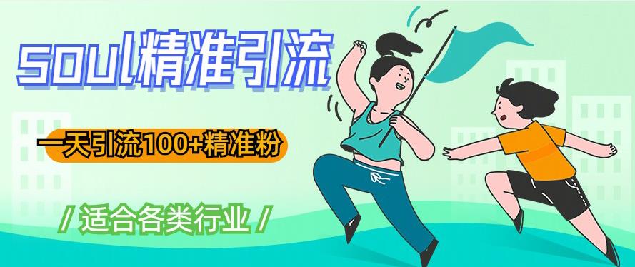 soul精准引流系列课程,一天引流100+精准粉,适合各类行业-资源宝库吧