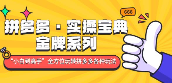 拼多多·实操宝典:金牌系列“小白到高手”带你全方位玩转拼多多各种玩法-资源宝库吧