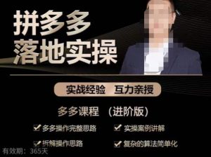 拼多多实战篇·落地实操：多多操作完整思路+实操案例讲解+拆解操作思路+复杂的算法简单化-资源宝库吧