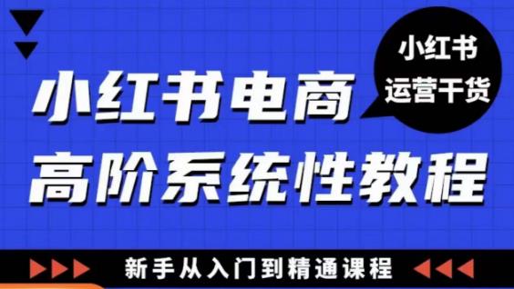 小红书电商高阶系统教程,新手从入门到精通系统课-资源宝库吧