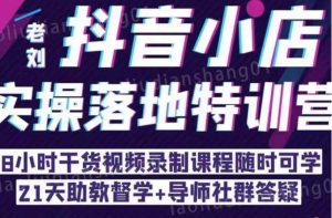 抖音小店实操落地特训营:抖音小店无货源精细化运营,抖店商品卡流量(22节)-资源宝库吧