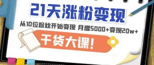 21天精准涨粉变现干货大课：从10位粉丝开始变现月增5000+变现20w+-资源宝库吧