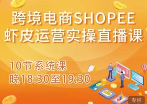 跨境电商Shopee虾皮运营实操直播课，从零开始学，入门到精通（10节系统课）-资源宝库吧