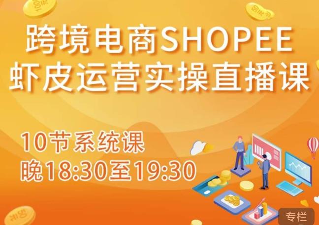 跨境电商Shopee虾皮运营实操直播课，从零开始学，入门到精通（10节系统课）-资源宝库吧