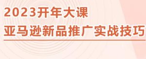 2023亚马逊新品推广实战技巧，线下百万美金课程的精简版，简单粗暴可复制，实操性强的推广手段-资源宝库吧