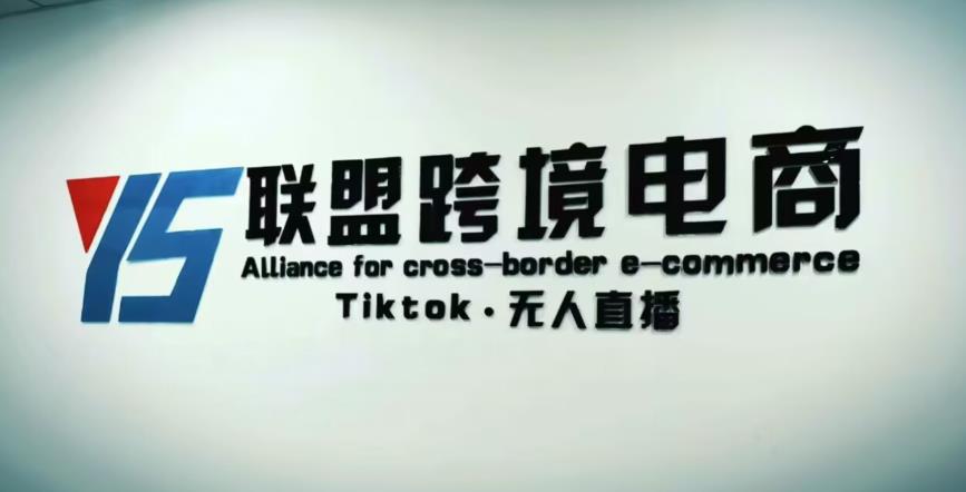 YS联盟·Tiktok无人直播,不出镜不剪辑不拍摄不发货无售后的跨境短视频躺赚玩法-资源宝库吧