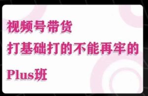 大播汇·视频号带货Puls班，视频号底层逻辑，起号自然流鱼塘等玩法-资源宝库吧