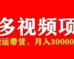 多多带货视频快速50爆款拿带货资格，搬运带货，月入30000【全套脚本+详细玩法】-资源宝库吧