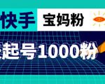抖音快手三天起号涨粉1000宝妈粉丝的核心方法【详细玩法教程】-资源宝库吧