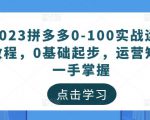2023拼多多0-100实战运营教程,0基础起步,运营知识一手掌握-资源宝库吧
