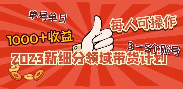 2023新细分领域带货计划：单号单日1000+收益不难，每人可操作3-5个账号-资源宝库吧