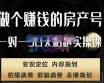 刘广标·同城房产号线上陪跑课，拍摄、剪辑、写文案、直播，做一个具有潜力价值的房产号-资源宝库吧