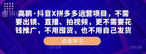 高鹏·抖音X拼多多运营项目，不需要出镜、直播、拍视频，不需要花钱推广，不用囤货，不用自己发货-资源宝库吧