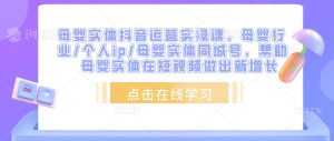 母婴实体抖音运营实操课，母婴行业/个人ip/母婴实体同城号，帮助母婴实体在短视频做出新增长-资源宝库吧