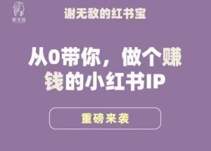 谢无敌·小红书运营大宝典，从0带你做个赚钱的小红书IP-资源宝库吧