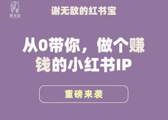 谢无敌·小红书运营大宝典，从0带你做个赚钱的小红书IP-资源宝库吧