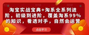 淘宝实战宝典+淘系全系列进阶，初级到进阶，覆盖淘系99%的知识，看透对手，自然会运营-资源宝库吧