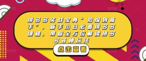 拼多多实战宝典“初级到高手”，新手小白必看拼多多课程，带你全方位解读拼多多各种玩法-资源宝库吧
