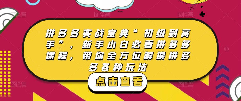 拼多多实战宝典“初级到高手”，新手小白必看拼多多课程，带你全方位解读拼多多各种玩法-资源宝库吧