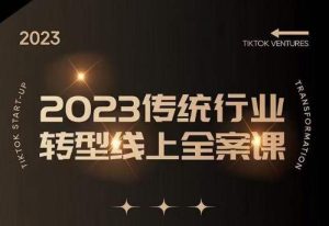 数据哥2023传统行业转型线上全案课，2023年传统行业如何转型线上，线上创业/传统转型避坑宝典-资源宝库吧