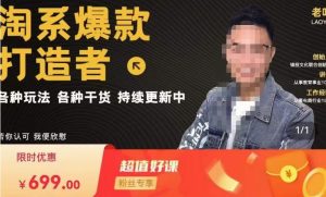 锋投老叶全店动销，淘系干货汇总，各种玩法，淘系爆款打造者-资源宝库吧