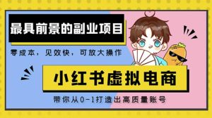 小红书蓝海大市场虚拟电商项目，手把手带你打造出日赚2000+高质量红薯账号-资源宝库吧