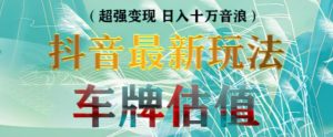 抖音最新无人直播变现直播车牌估值玩法项目，轻松日赚几百+【详细玩法教程】-资源宝库吧