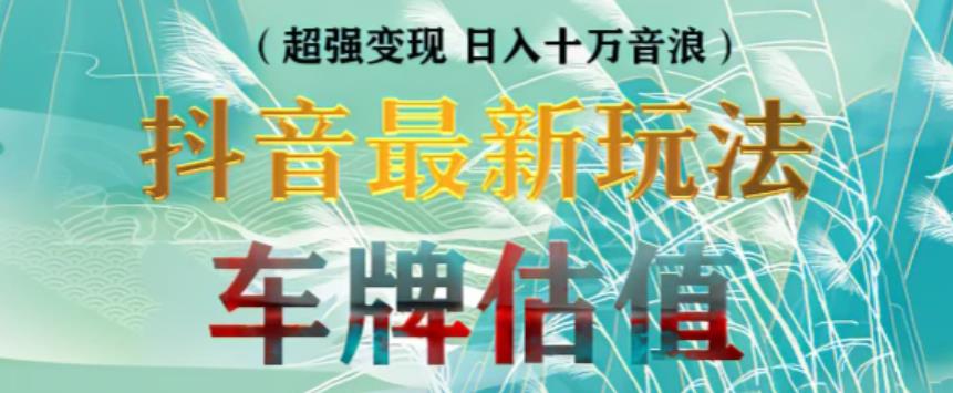 抖音最新无人直播变现直播车牌估值玩法项目，轻松日赚几百+【详细玩法教程】-资源宝库吧