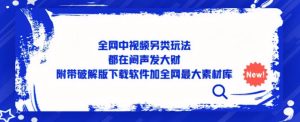 全网中视频另类玩法，都在闷声发大财，附带破解版下载软件加全网最大素材库-资源宝库吧