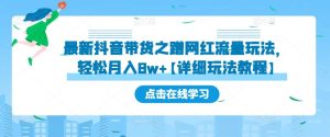 最新抖音带货之蹭网红流量玩法，轻松月入8w+【详细玩法教程】-资源宝库吧
