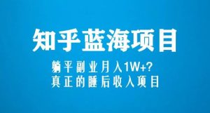 知乎蓝海玩法,躺平副业月入1W+,真正的睡后收入项目(6节视频课)-资源宝库吧