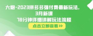 大炮·2023拼多多强付费最新玩法，3月新课​78分钟详细讲解玩法流程-资源宝库吧