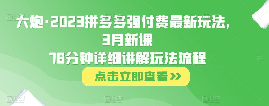 大炮·2023拼多多强付费最新玩法，3月新课​78分钟详细讲解玩法流程-资源宝库吧