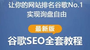 谷歌SEO实战教程：如何让你的网站在谷歌排名第一，内容从入门到高阶，适合个人及团队-资源宝库吧