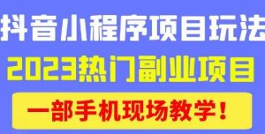 抖音小程序9.0新技巧，2023热门副业项目，动动手指轻松变现-资源宝库吧