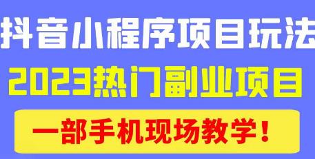 抖音小程序9.0新技巧，2023热门副业项目，动动手指轻松变现-资源宝库吧