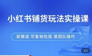 小红书铺货玩法实操课，流量大，竞争小，非常好做，新赛道，可复制性强，可团队操作-资源宝库吧