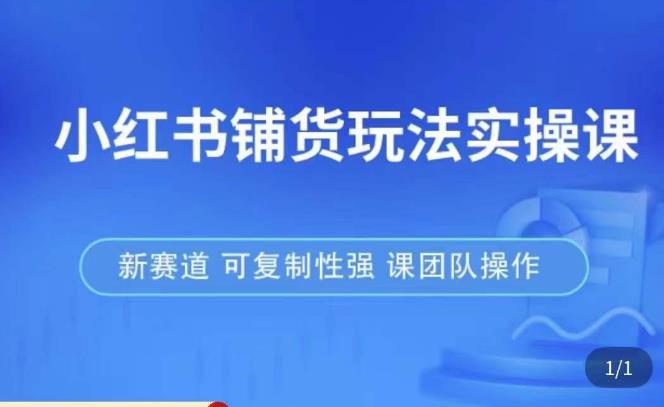 小红书铺货玩法实操课，流量大，竞争小，非常好做，新赛道，可复制性强，可团队操作-资源宝库吧
