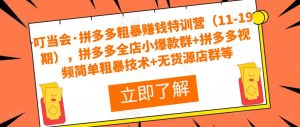 叮当会·拼多多粗暴赚钱特训营（11-19期），拼多多全店小爆款群+拼多多视频简单粗暴技术+无货源店群等-资源宝库吧