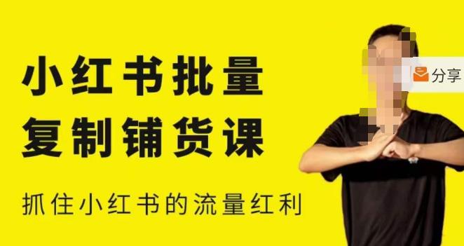 张宾·小红书批量复制铺货课,小红书0-1快速起号变现玩法,抓住小红书的流量红利(更新2023年3月)-资源宝库吧