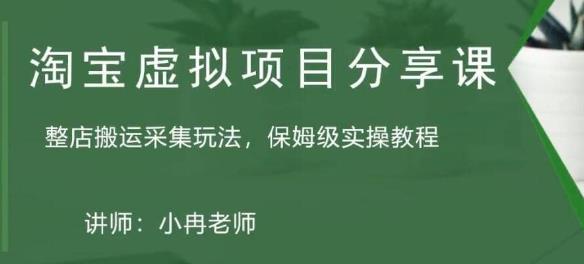 淘宝虚拟整店搬运采集玩法分享课:整店搬运采集玩法,保姆级实操教程-资源宝库吧