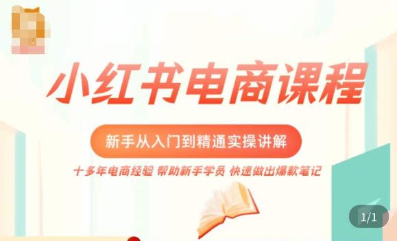 小红书电商新手入门到精通实操课，从入门到精通做爆款笔记，开店运营-资源宝库吧